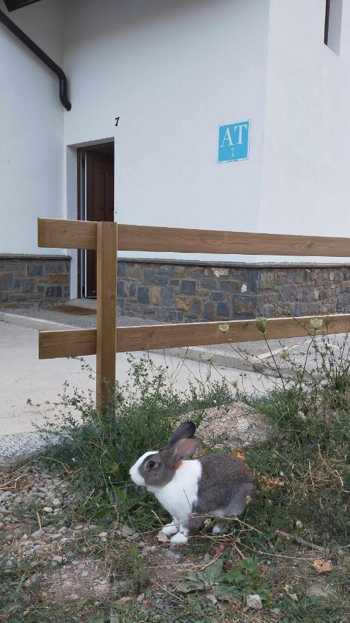 Casa Cotefablo Aloj Sorrosal Gavin Biescas公寓 外观 照片